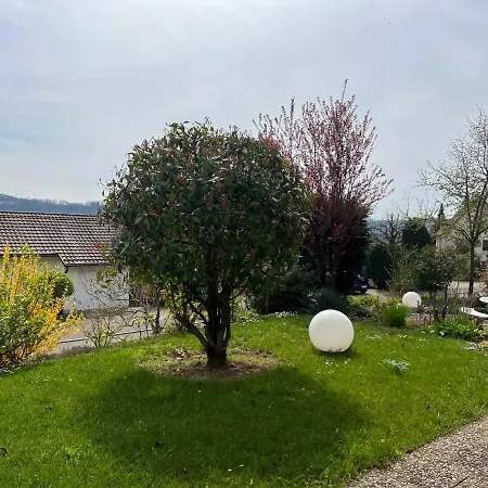 Kleine Mit Schoenem Blick In Schweiz - Grenznah Apartment